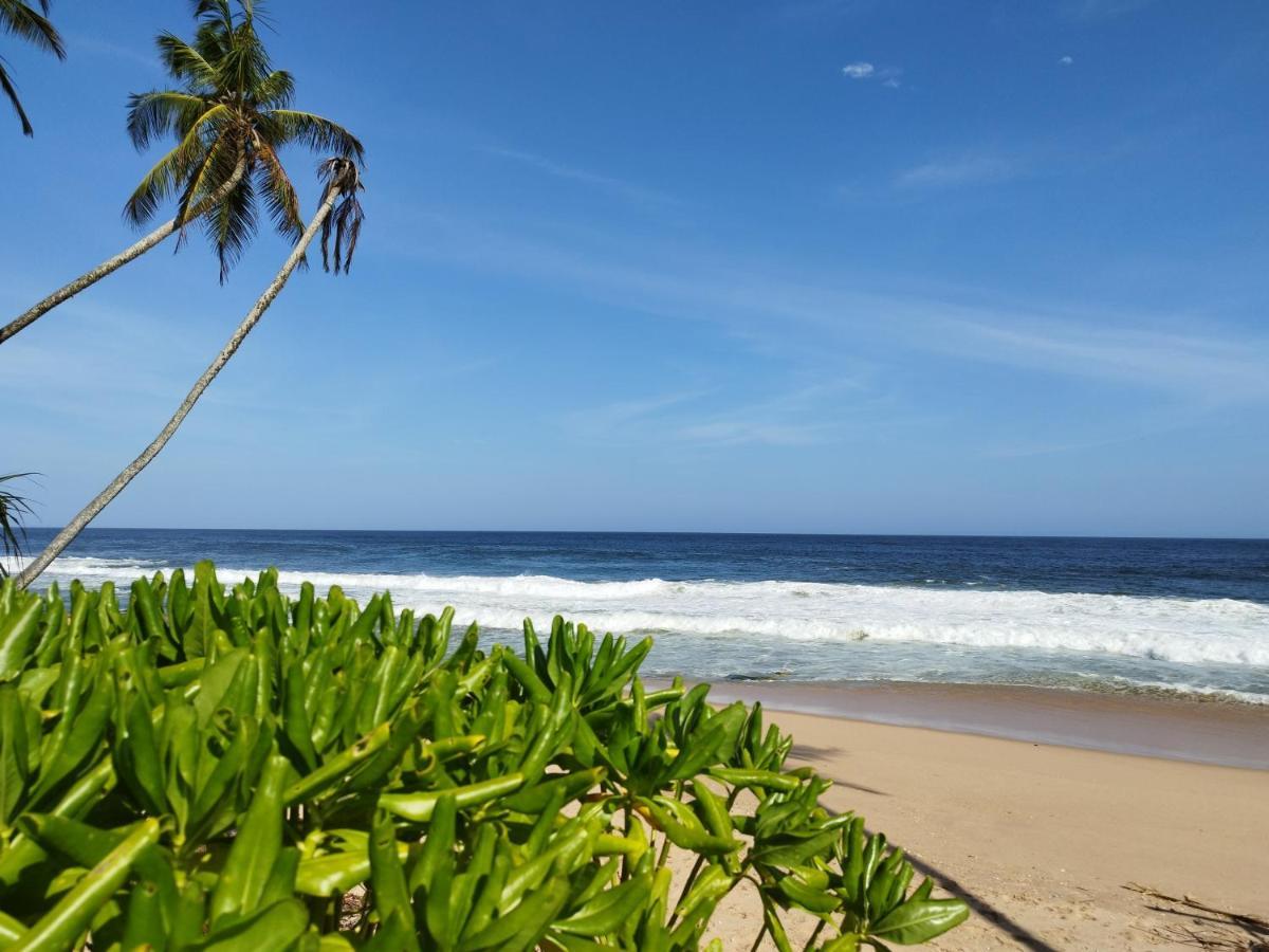 Tropical Garden Apartment Tangalle Exterior photo